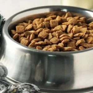 Pet